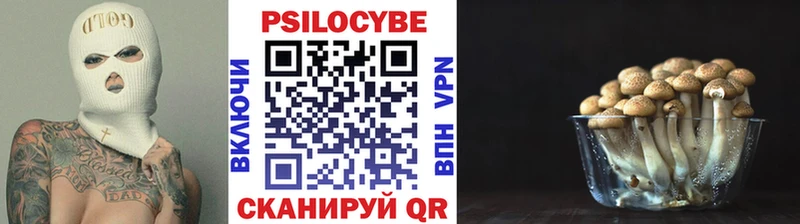 Псилоцибиновые грибы Psilocybine cubensis  МЕГА сайт  Алзамай 
