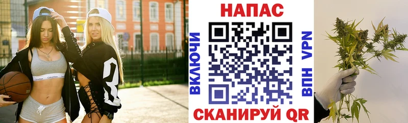 Конопля OG Kush  Алзамай 